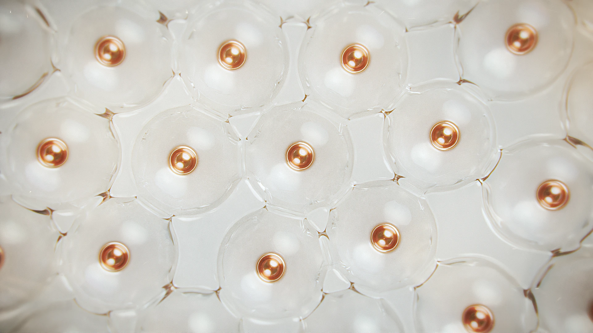 Medical and Health R&D